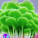 스마일 해피 이미지