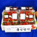 임영택농장 이미지