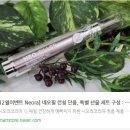니오라화장품 | 니오라 네오필세럼 가격과 할인 구매정보
