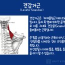 준피티샵 이미지