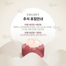 콜렉트센텀 네이버블로그