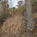 안산시남동보건진료소 이미지