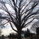 의암호나들길(봄내길 4코스) 이미지