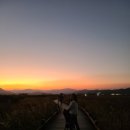 공룡투어