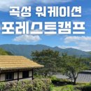 노마드포레스트5