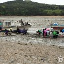 웅도 어촌체험마을 이미지