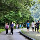 (사)소백산천연염색협회 이미지