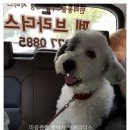 미니스톱 인천효성점 이미지