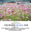 호선생 이미지