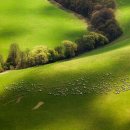 헤어카페 이미지