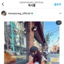 코코라이프