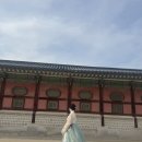 눈썹달주단 이미지