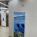 [제주]16개월아기와 알레그리아호텔 숙박 찐후기