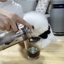 다온펫푸드 이미지