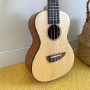 초등우쿨렐레 이미지