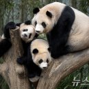바오 - 남양주시 진건오남로 59 | 바오