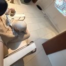 현정농장(1) | 제가 스물 여섯이래요