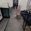 뉴타운 목욕탕 이미지