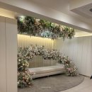 명동야외주차장 | [공지] [04. 명동 라루체] 26년 하반기 견적 공유 | 밝은 야외웨딩홀 느낌 추천 | 미운우리새끼 방영