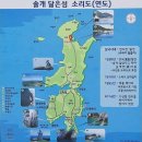 2024년 03월 29일(금-토)무박 연도-섬 금광산 증봉 앞산 취북산 전남여수 이미지