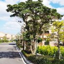 프로방스 이미지