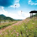 대황강 자연휴식공원 이미지