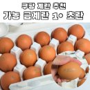 골든에그팜 | 쿠팡 로켓프레시 계란 추천-가농 금계란 1+ 등급 초란 15알🥚 | 초란 추천 | 쿠팡 계란 포장