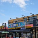 미자네횟집 | 🌊 속초 미자네횟집 해삼물회 &amp; 전복물회 후기 – 진짜 활어로 만든 새콤달콤한 점심!