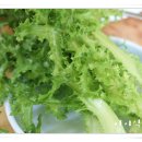 정통쌈밥 이미지