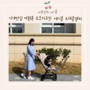 기내반입 여행용 유모차 추천 , 에이블 트래블캠퍼 실사용후기