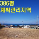 바닷가 펜션 티스토리