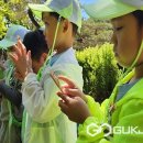 금천초교 병설유치원 국제뉴스