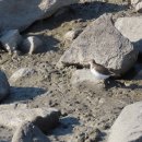 학익빗물펌프장 이미지