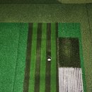 알파스크린골프 이미지