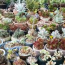 무주시크릿 이미지