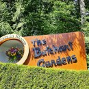 [밴쿠버 D+6] 밴쿠버 빅토리아 아일랜드 정원 (2024. 6. 26)(1) 이미지