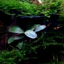 신용 아쿠아 수족관 이미지