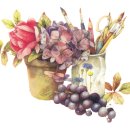 일산오토 이미지