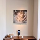 광주참약국 이미지