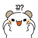 멍냥스타 강아지분양 고양이분양 이미지