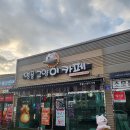 명품고양이카페 이미지