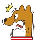 정성케어 네이버블로그