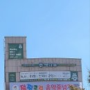 책나무버드내독서학원