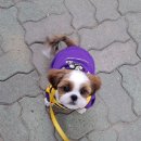 인수의료기상사 | 12월 첫번째 (칸쿤)