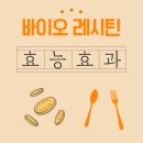 솔고바이오메디칼 | 바이오 레시틴, 뇌와 간 건강에 숨은 무기인거 아셨나요?