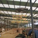 원덕목장 이미지