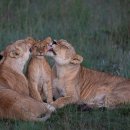 당감한의원 이미지