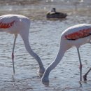 (주)제일안전 이미지