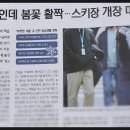 봄꽃에서첫눈까지 이미지