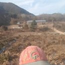 안말농장 이미지